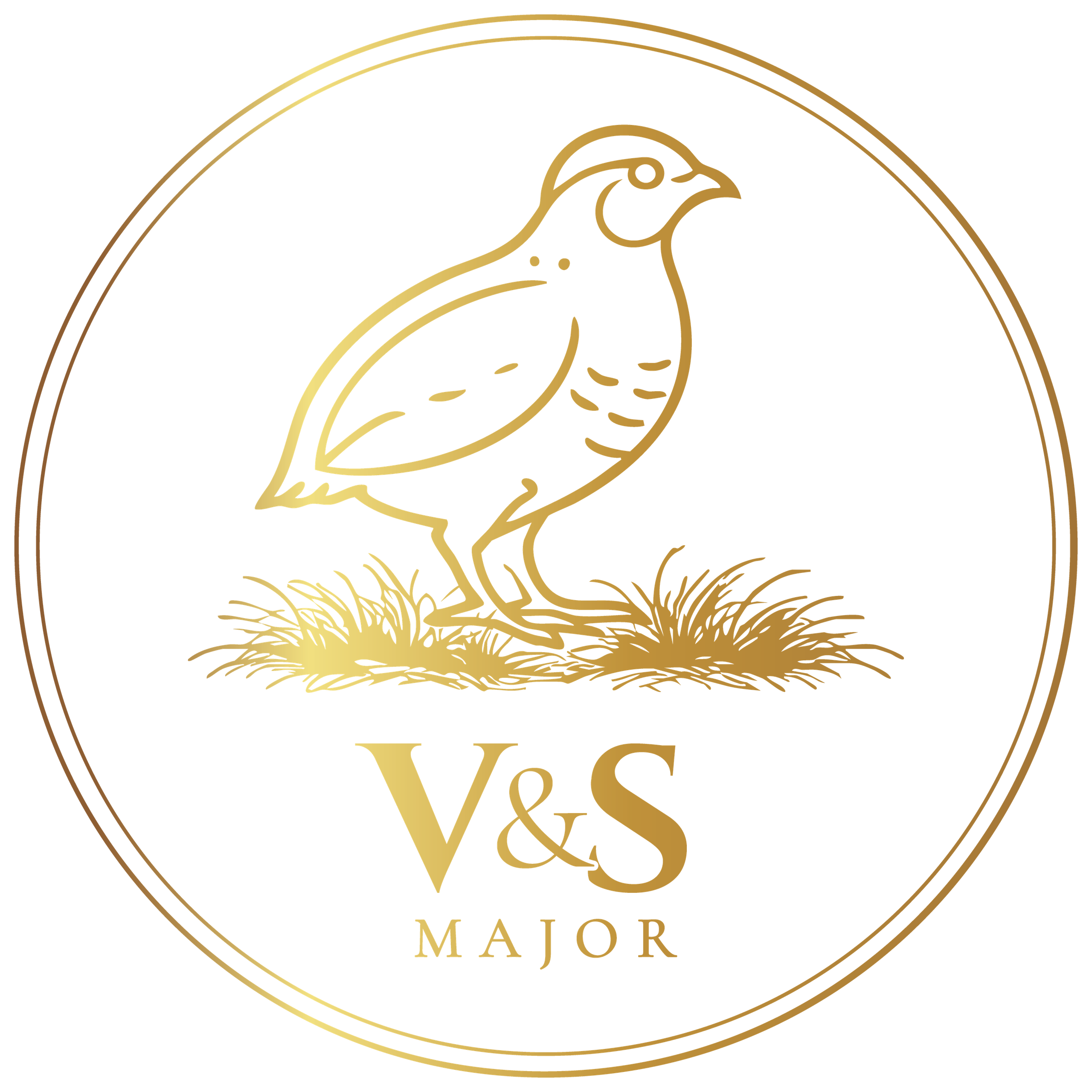 V&S Major